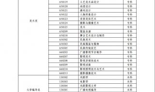 山东会计单招能报名哪个学校